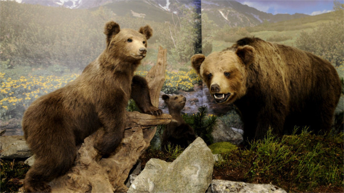 Neue Attraktionen im TANAP-Museum