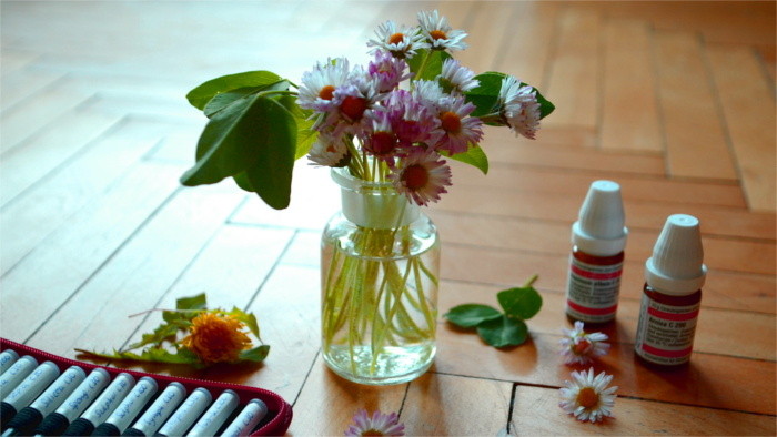 Homöopathie in der Slowakei und in Deutschland