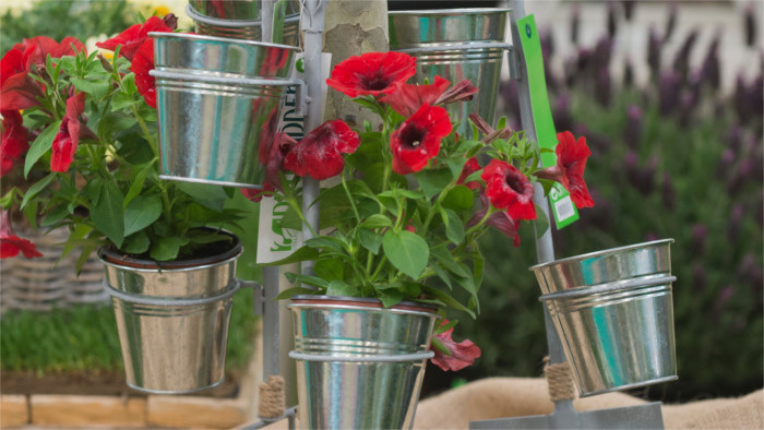 International Flower Fair opens in Bratislava 