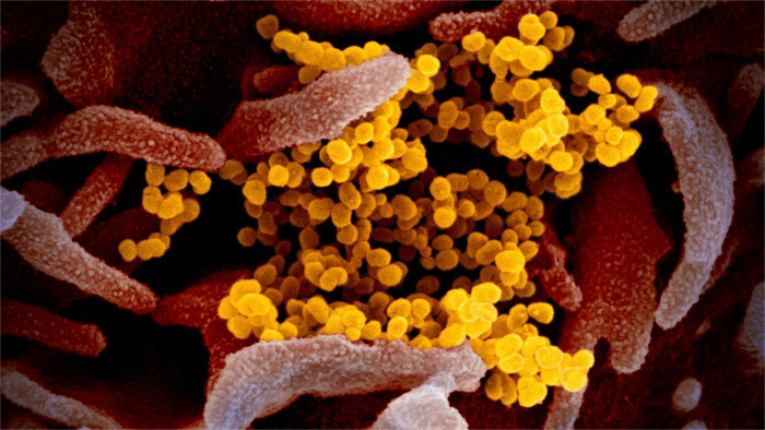 Slowakischer Wissenschaftler zum Coronavirus