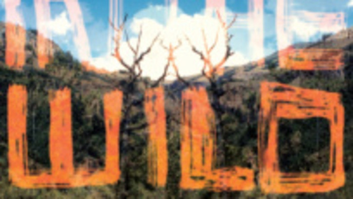 Nika_FM: FaltyDL s In the Wild
