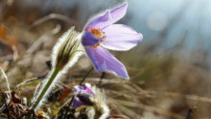 Rádiovíkend 7. 4. 2018 - pozvánky