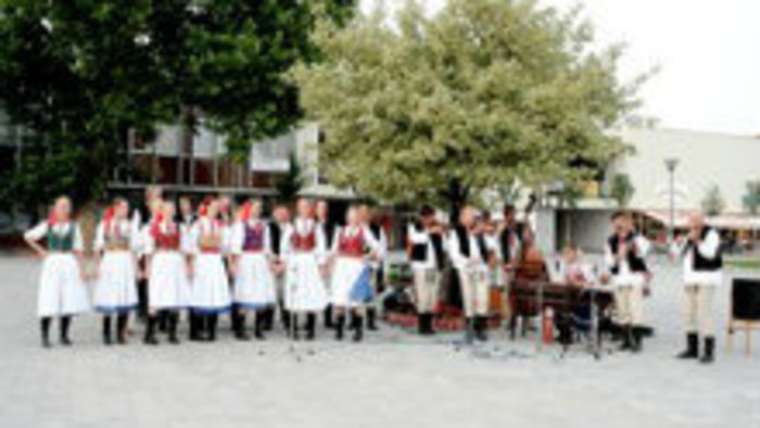 FS Bukovina