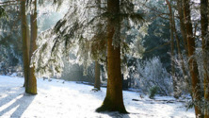 Rádiovíkend 13. 1. 2018 - pozvánky