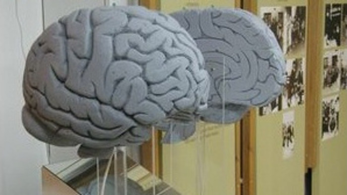 The relevance of ‘psychiatric epidemiology’ in the study of mental illness