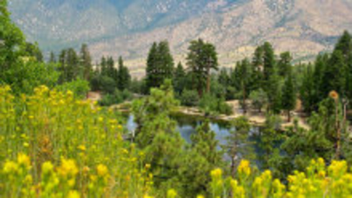 Letné kempy pre študentov