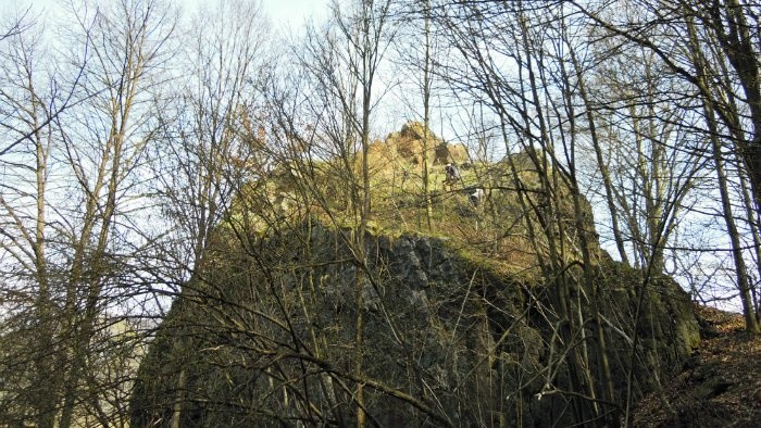 Bacovka-2
