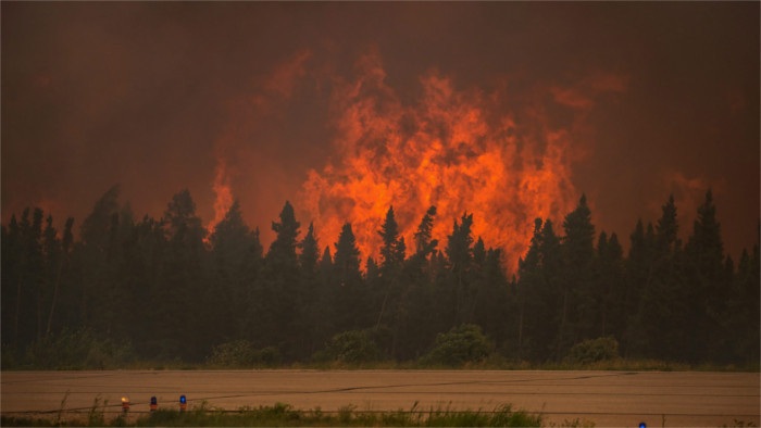 Slowakei hilft Slowenien beim Löschen der Waldbrände
