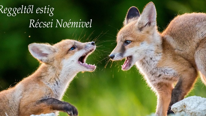 Megragadható-e a pillanat? Horesnyík Ervinnel beszélgettünk