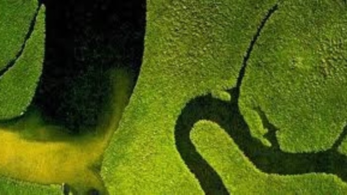 Miniprofil: Dead Can Dance