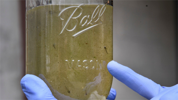 Microplásticos detectados en el agua potable
