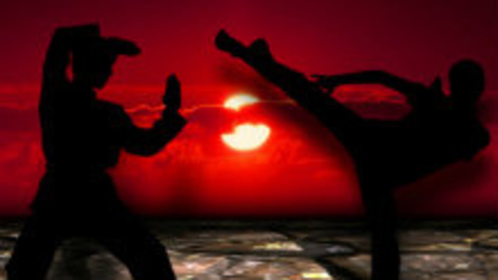 Umenie Wushu