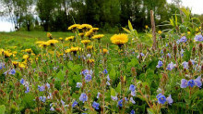 Rádiovíkend 23.4.2016 – pozvánky