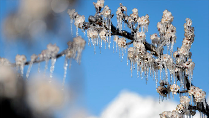 Return of freezing cold
