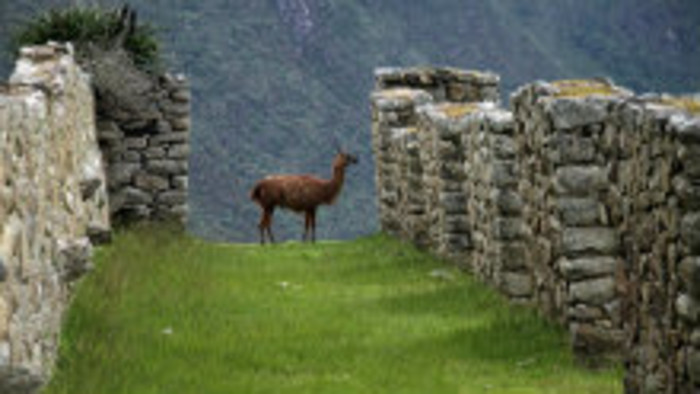 Metropoly sveta - Cuzco