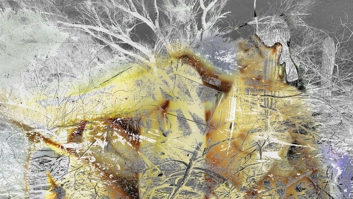 Historia magistra vitae: Daniel Fischer