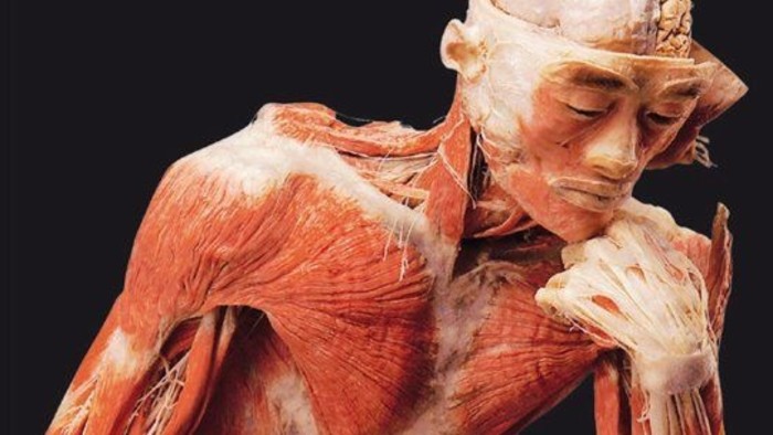Etikus-e a Body - The Exhibition?