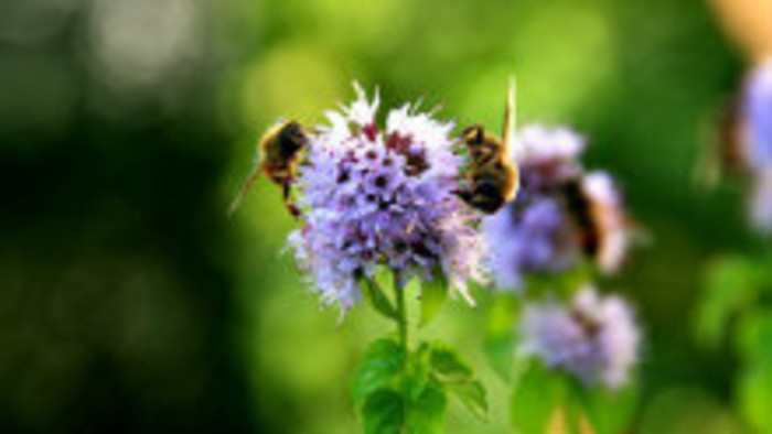 Rádiovíkend 4.6.2016 – pozvánky