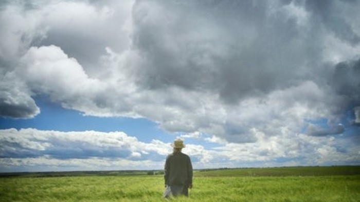 Filmová recenzia: Volanie