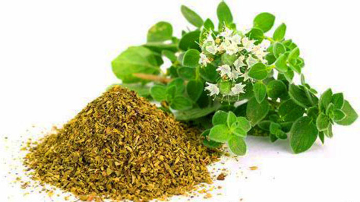 Oregano na Horehroní
