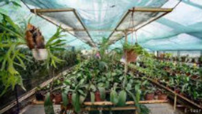 Nitrianska botanická záhrada spúšťa nočné prehliadky