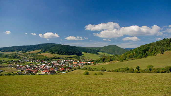 Jasenica