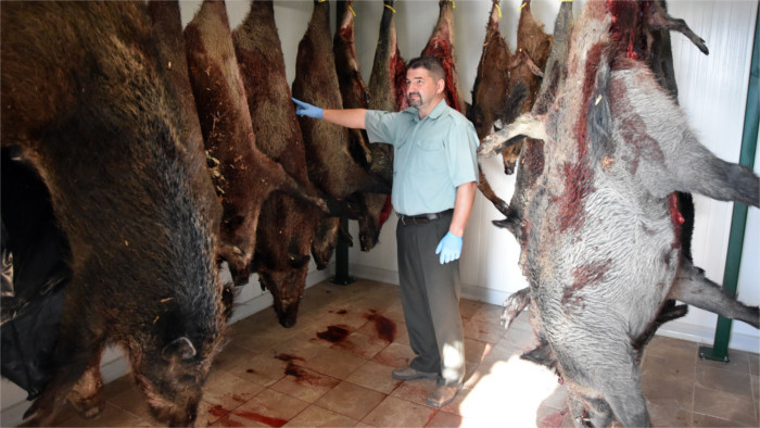 La peste porcina ha sido estabilizada
