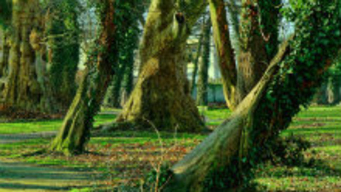 Gabčíkovský park