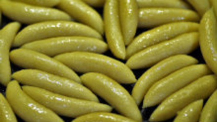 Tradičné Špecle