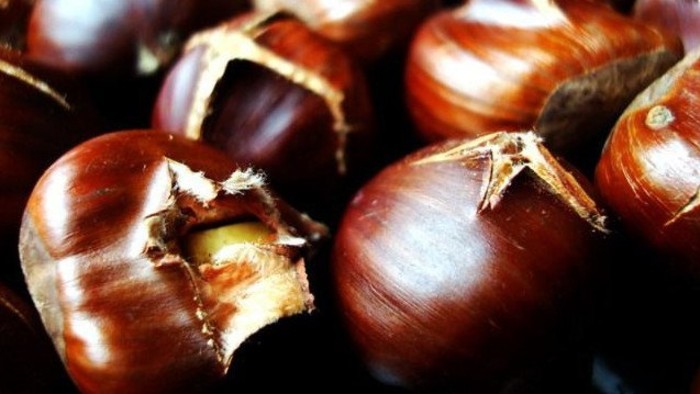 Gaštanové slávnosti