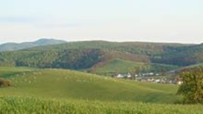 Obec Pleš