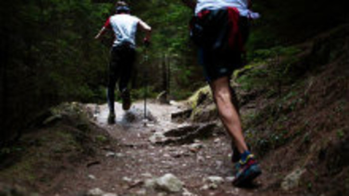 Karpaty run