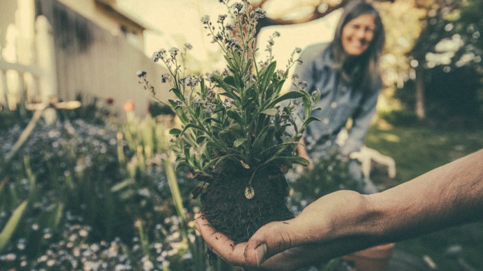 Environmentálne aktivity na Gymnáziu Konštantínova 2 v Prešove