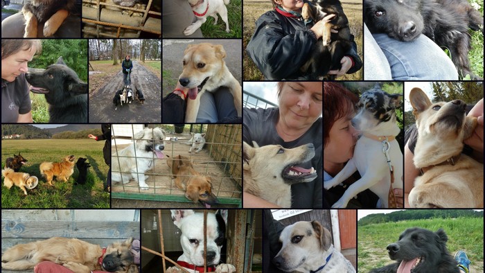 PicMonkey Collagebn.jpg