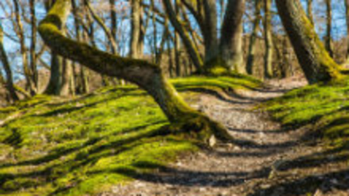 Rádiovíkend 23.9.2017 - pozvánky