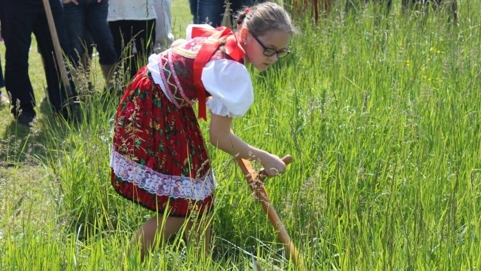 Zemplínska ostrá kosa