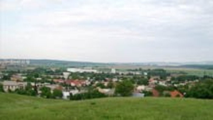 Vidiná