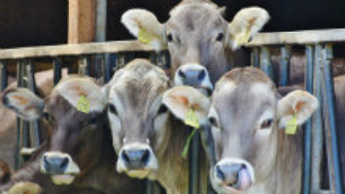 Nová aplikácia pre farmárov