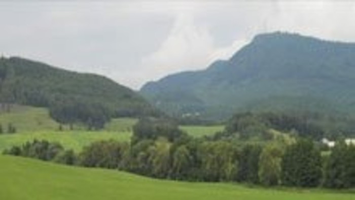 Obec Nesluša