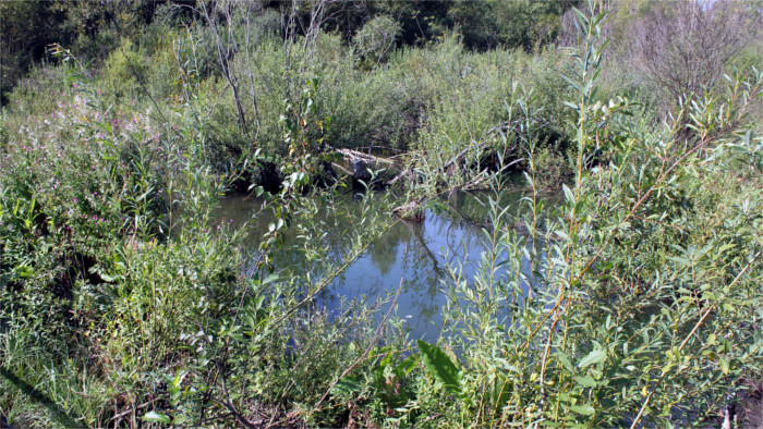 Les changements climatiques menacent l’eau potable en Slovaquie