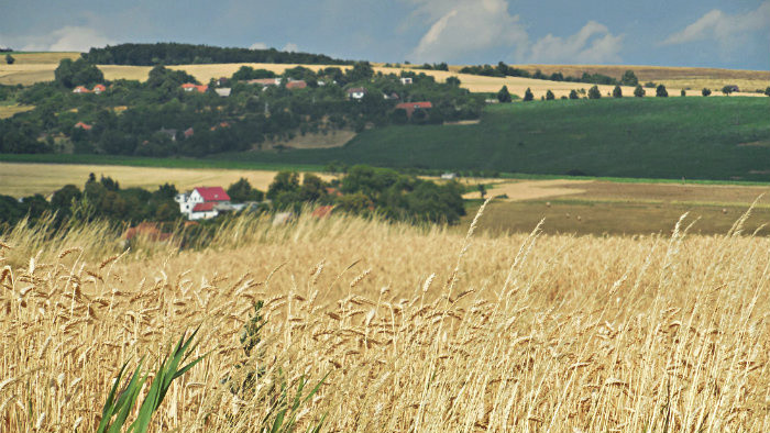 Život na kopaniach a lazoch – 5. časť