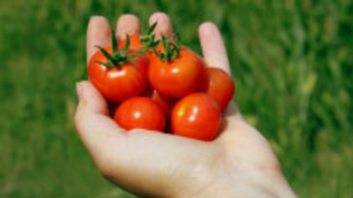 Z každého rožku trošku 