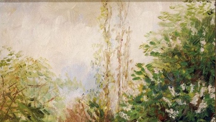 Blurry beauty of Impressionism