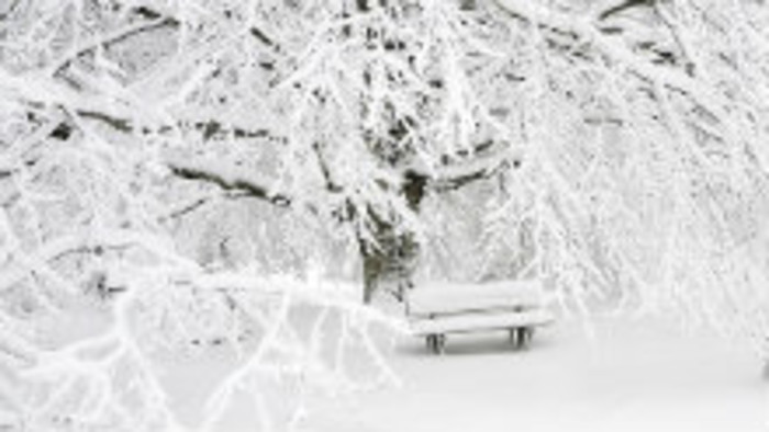 Glosa: Čierno - biela zima