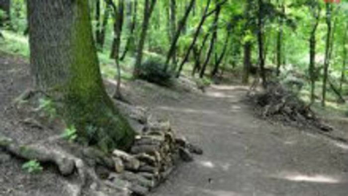 Bratislavský Horský park funguje po novom