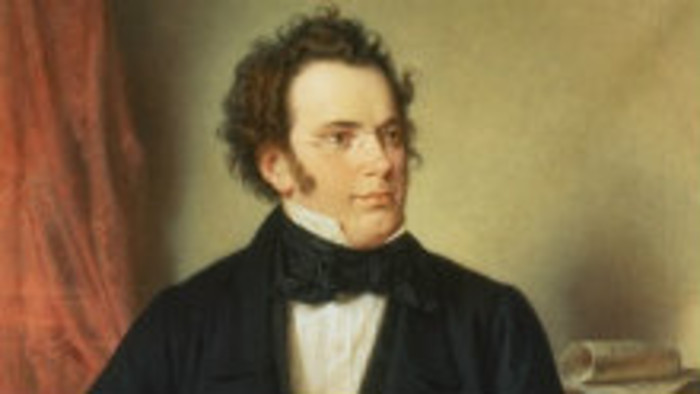 Franz Schubert v Želiezovciach