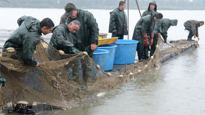 More than 4,300 prisoners worked on daily basis last year 