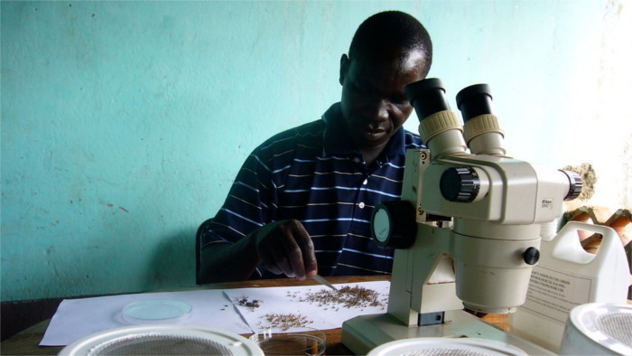 How Artificial Intelligence can help Africans diagnose malaria