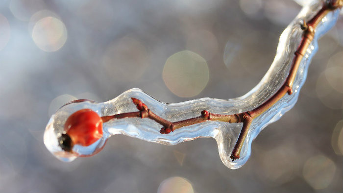 Rádiovíkend 3.12.2016 – pozvánky