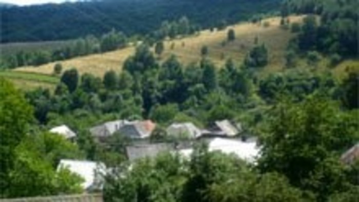 Obec Hrlica